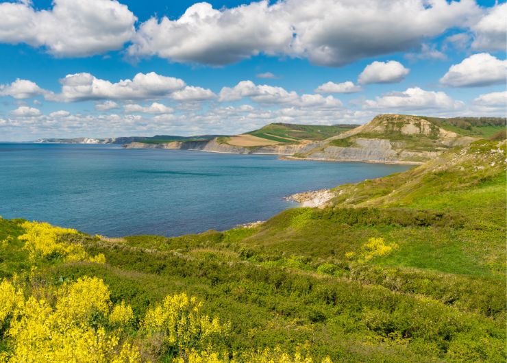 A coastal cliff side with the blue sea in the back ground