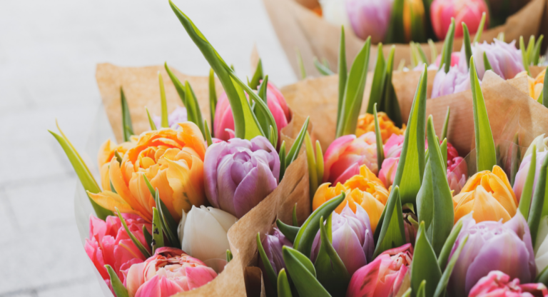 A group of multi coloured tulips. The colours range from a pastel lilac, pink to a bright yellow.